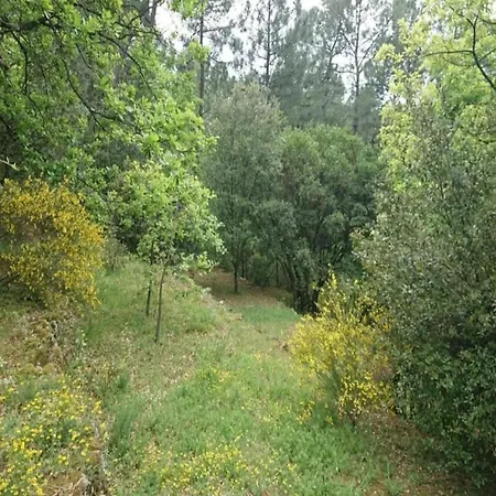 Peaceful In Вилла Ларжантьер
